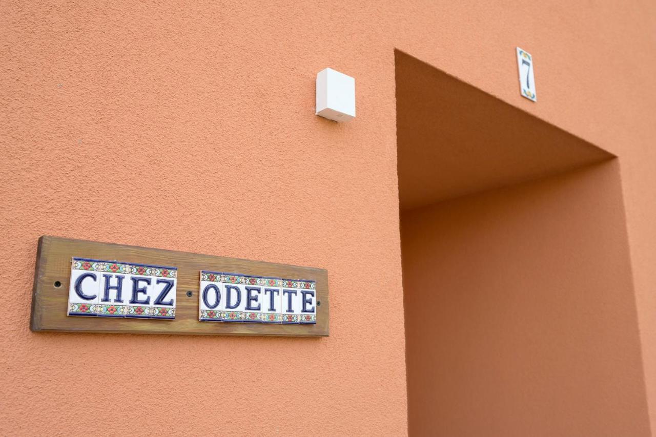 Chez Odette - Spa, Plancha, Parking Альби Экстерьер фото